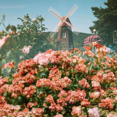 云开·全站中国官方网站截图