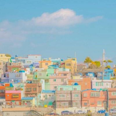 买球的app排行榜前十名推荐